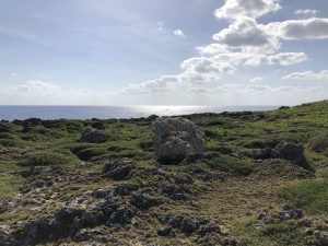 November 10, 2019 - (20) Hateruma - Southernmost Point in Japan - 25 of 27