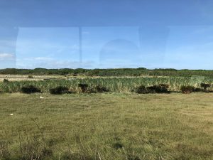 November 10, 2019 - (21) Hateruma - On the Way - 1 of 5
