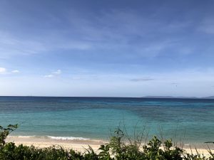 November 10, 2019 - (22) Hateruma - Nishi Beach - 10 of 13