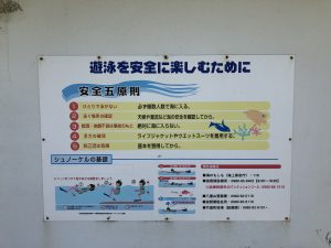 November 10, 2019 - (22) Hateruma - Nishi Beach - 6 of 13