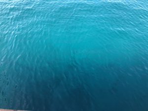 November 10, 2019 - (23) Hateruma - Ferry Port - 3 of 3