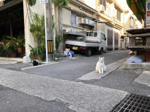 November 11, 2019 - (01) Ishigaki - On the Way - 1 of 2
