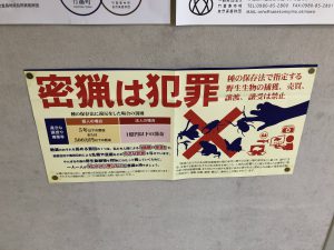 November 11, 2019 - (02) Taketomi - Ferry Port - 1 of 8