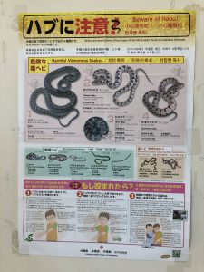 November 11, 2019 - (02) Taketomi - Ferry Port - 3 of 8