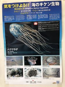 November 11, 2019 - (02) Taketomi - Ferry Port - 4 of 8