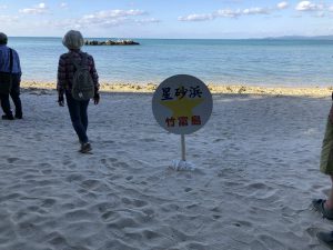November 11, 2019 - (03) Taketomi - Kaiji Beach - 1 of 3