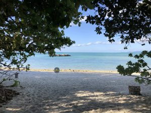 November 11, 2019 - (03) Taketomi - Kaiji Beach - 3 of 3