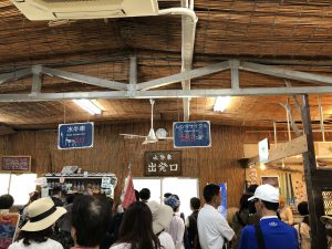 November 11, 2019 - (05) Taketomi - Water Buffalo - 1 of 12