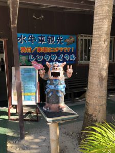 November 11, 2019 - (05) Taketomi - Water Buffalo - 11 of 12