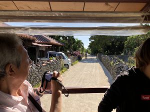 November 11, 2019 - (05) Taketomi - Water Buffalo - 9 of 12