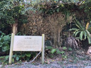 November 11, 2019 - (07) Taketomi - Village - 10 of 19