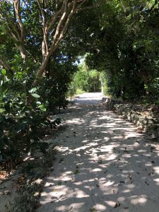 November 11, 2019 - (07) Taketomi - Village - 13 of 19