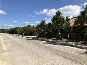 November 11, 2019 - (07) Taketomi - Village - 4 of 19