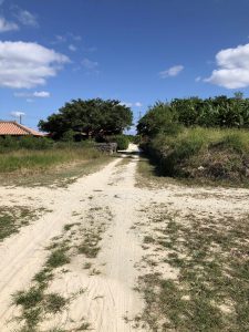 November 11, 2019 - (07) Taketomi - Village - 7 of 19