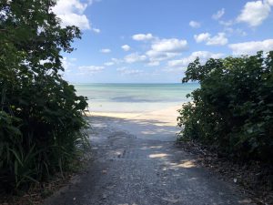 November 11, 2019 - (09) Taketomi - Nishi Pier - 1 of 11