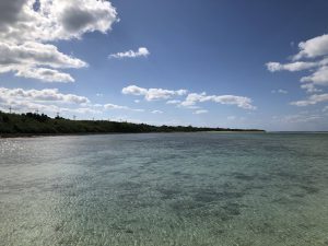 November 11, 2019 - (09) Taketomi - Nishi Pier - 11 of 11