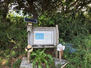 November 11, 2019 - (09) Taketomi - Nishi Pier - 4 of 11