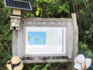 November 11, 2019 - (09) Taketomi - Nishi Pier - 5 of 11