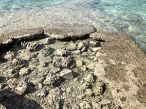 November 11, 2019 - (09) Taketomi - Nishi Pier - 9 of 11