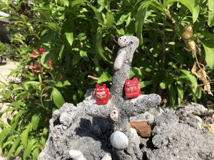 November 11, 2019 - (13) Taketomi - Village - 13 of 17