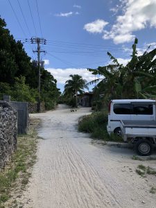 November 11, 2019 - (13) Taketomi - Village - 7 of 17