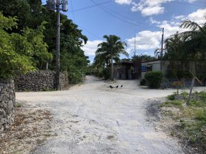 November 11, 2019 - (13) Taketomi - Village - 8 of 17