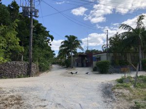 November 11, 2019 - (13) Taketomi - Village - 9 of 17