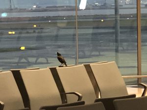 November 5, 2019 - (01) Hong Kong - Airport - 4 of 6