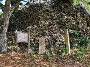 November 5, 2019 - (07) Kuroshima - Puzumari - 2 of 3