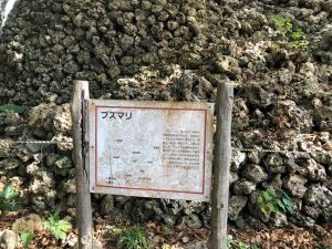 November 5, 2019 - (07) Kuroshima - Puzumari - 3 of 3