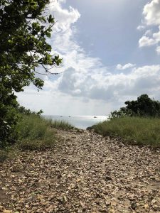 November 5, 2019 - (08) Kuroshima - On the Way - 1 of 4