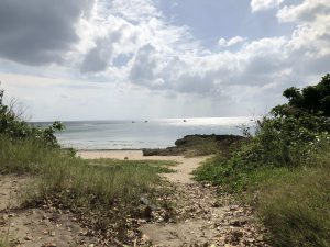 November 5, 2019 - (08) Kuroshima - On the Way - 2 of 4