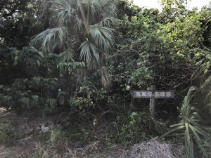 November 5, 2019 - (09) Kuroshima - Paifutawan - 1 of 9