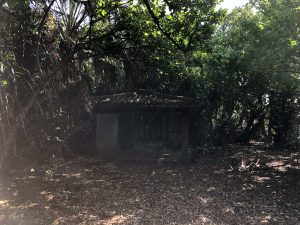 November 5, 2019 - (09) Kuroshima - Paifutawan - 4 of 9