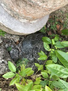 November 5, 2019 - (09) Kuroshima - Paifutawan - 9 of 9