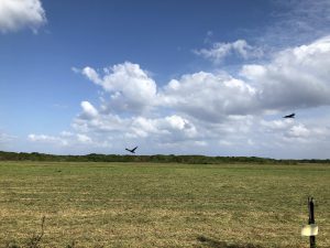 November 5, 2019 - (10) Kuroshima - On the Way - 2 of 5