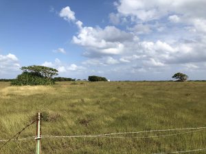 November 5, 2019 - (10) Kuroshima - On the Way - 5 of 5