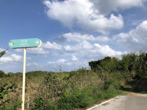 November 5, 2019 - (11) Kuroshima - Kuroshima Todai - 1 of 12