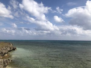 November 5, 2019 - (11) Kuroshima - Kuroshima Todai - 12 of 12