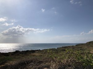 November 5, 2019 - (11) Kuroshima - Kuroshima Todai - 7 of 12