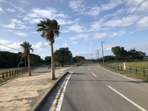 November 5, 2019 - (12) Kuroshima - On the Way - 12 of 12