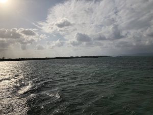 November 5, 2019 - (15) Kuroshima - Ikosanbashi - 14 of 23