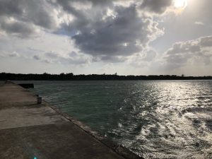 November 5, 2019 - (15) Kuroshima - Ikosanbashi - 17 of 23