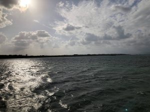 November 5, 2019 - (15) Kuroshima - Ikosanbashi - 18 of 23