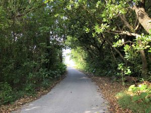 November 5, 2019 - (15) Kuroshima - Ikosanbashi - 2 of 23
