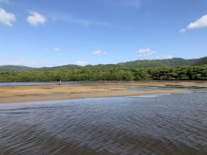 November 6, 2019 - (1) Iriomote - Nakama River - 13 of 16