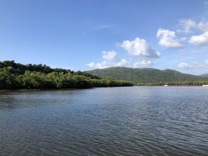 November 6, 2019 - (1) Iriomote - Nakama River - 4 of 16