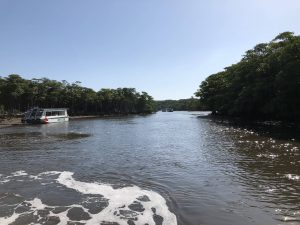 November 6, 2019 - (1) Iriomote - Nakama River - 9 of 16