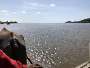 November 6, 2019 - (2) Iriomote - Water Buffalo for Yubu Island - 6 of 10
