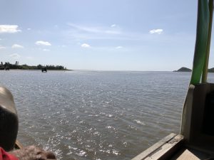 November 6, 2019 - (2) Iriomote - Water Buffalo for Yubu Island - 7 of 10
